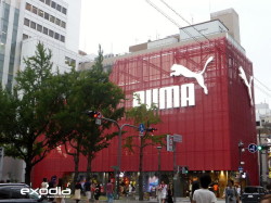 Puma is a German sports fashion store chain and producer