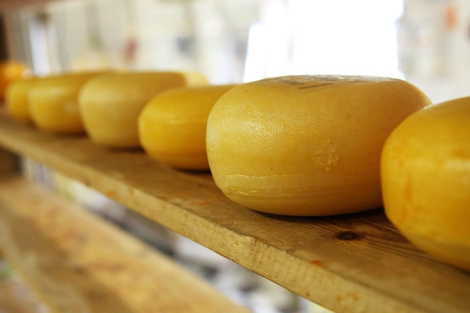 Käse aus Holland - unbedingt probieren!